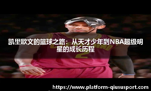 球速体育登录入口